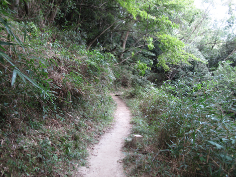 20140922hike (10)